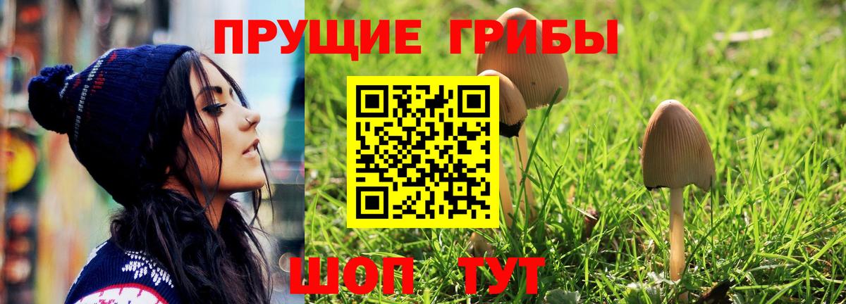 Галлюциногенные грибы GOLDEN TEACHER Алексеевка